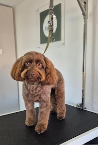 Hunter Dog Grooming place picture